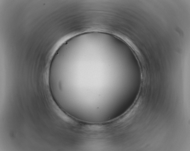 X0000113871246200910081720