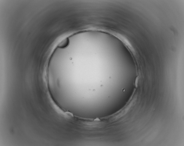 X0000113871247200910081720