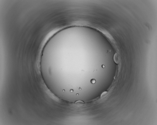 X0000113871248200910081720