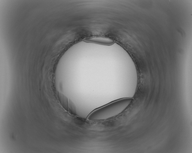 X0000113871249200910081720