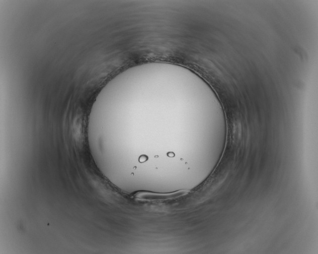 X0000113871250200910081720