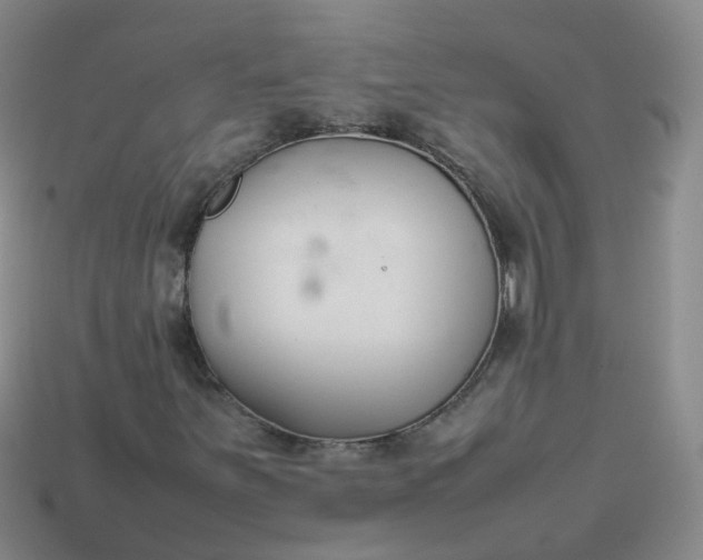 X0000113871251200910081719