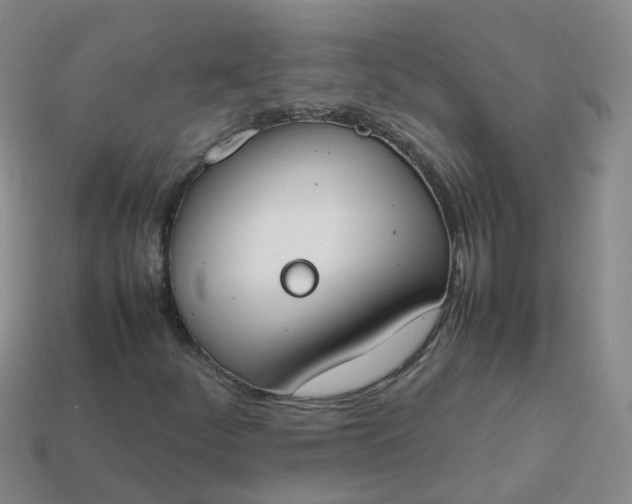 X0000113871252200910081719