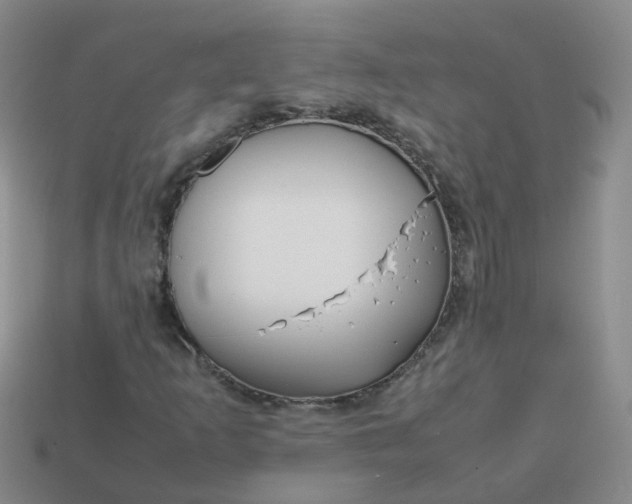 X0000113871253200910081719