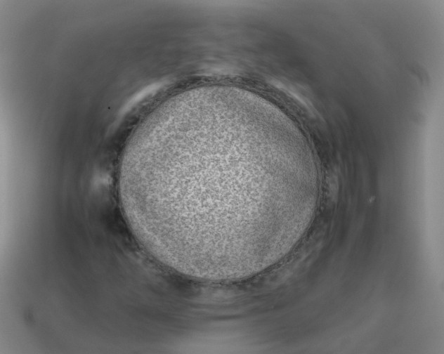 X0000113871254200910081719