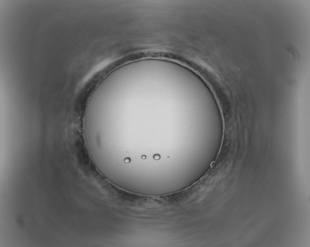 X0000113871255200910081719