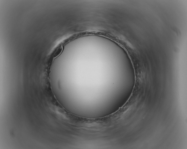 X0000113871256200910081719