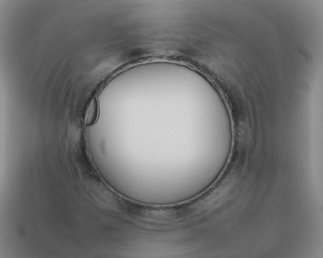 X0000113871257200910081719