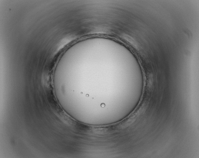 X0000113871258200910081719