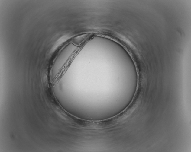 X0000113871259200910081719