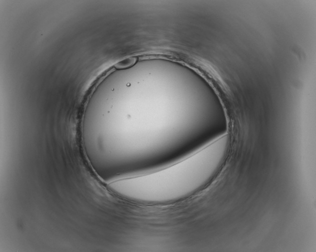 X0000113871260200910081719