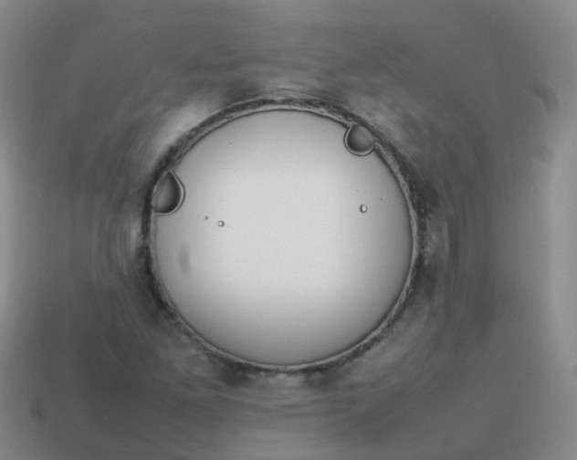 X0000113871261200910081719