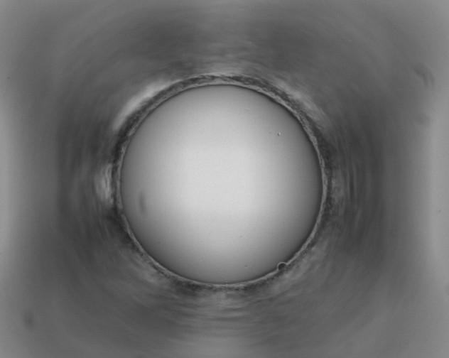 X0000113871262200910081719