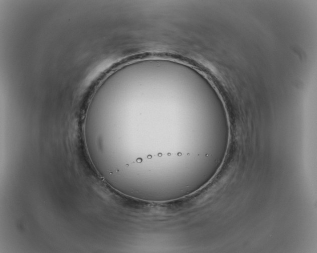 X0000113871263200910081719