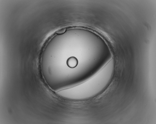 X0000113871264200910081719