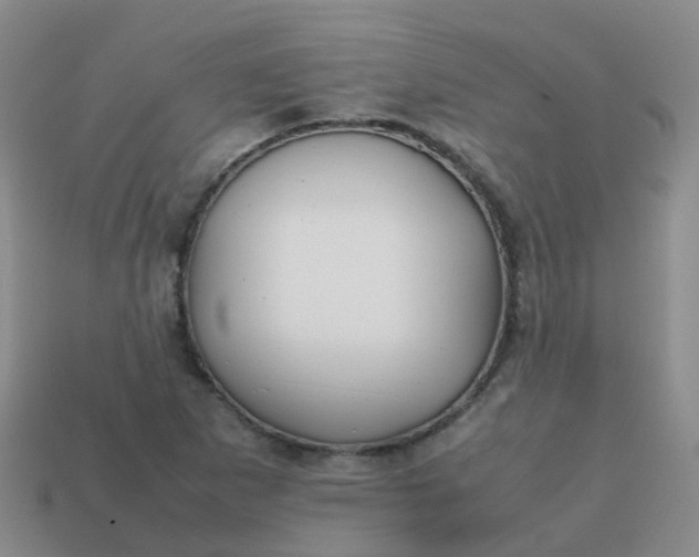 X0000113871265200910081719