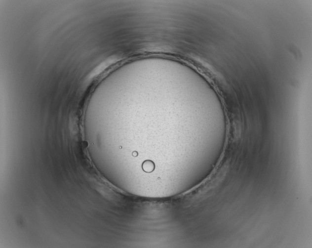 X0000113871266200910081719