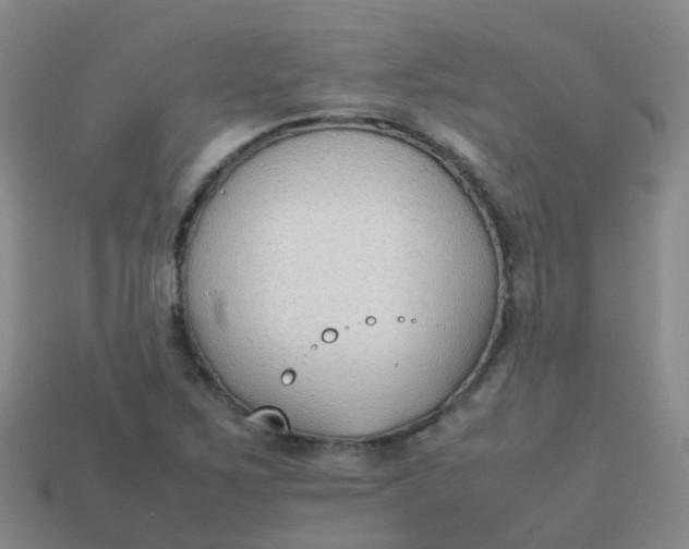 X0000113871267200910081719