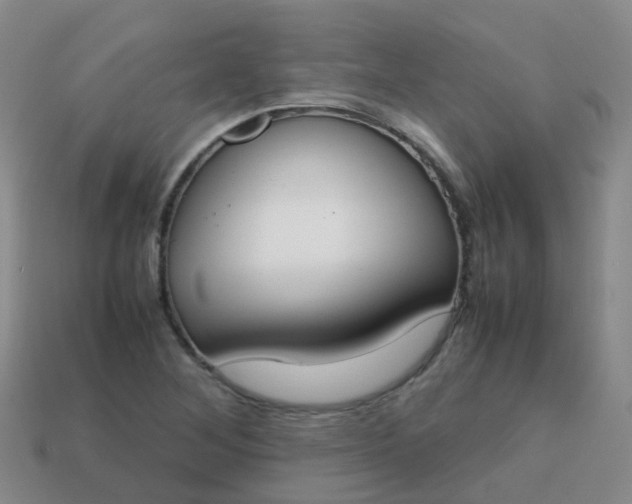 X0000113871268200910081719