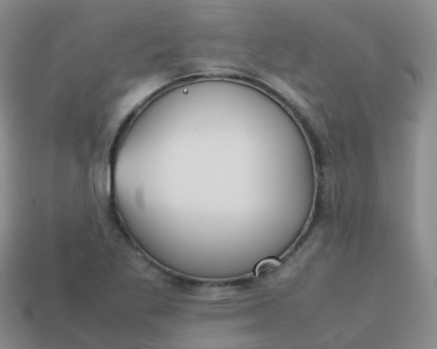 X0000113871269200910081719