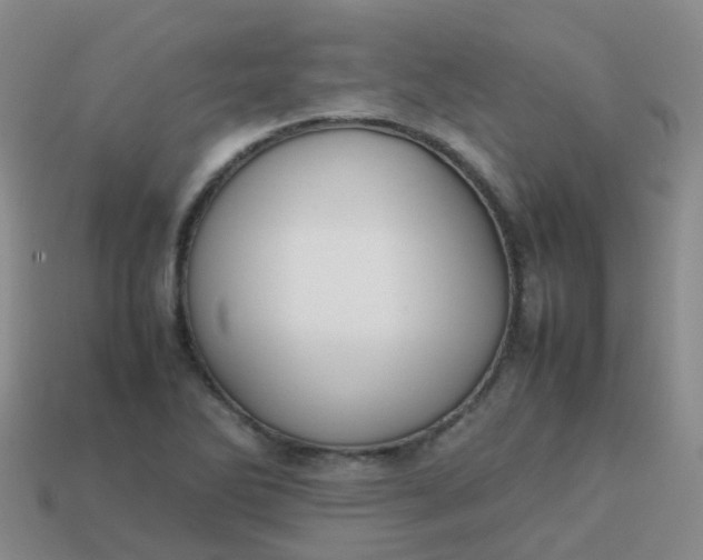 X0000113871270200910081719