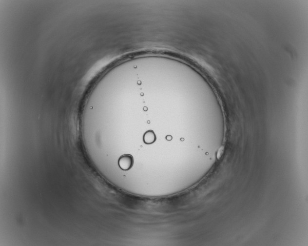 X0000113871271200910081719