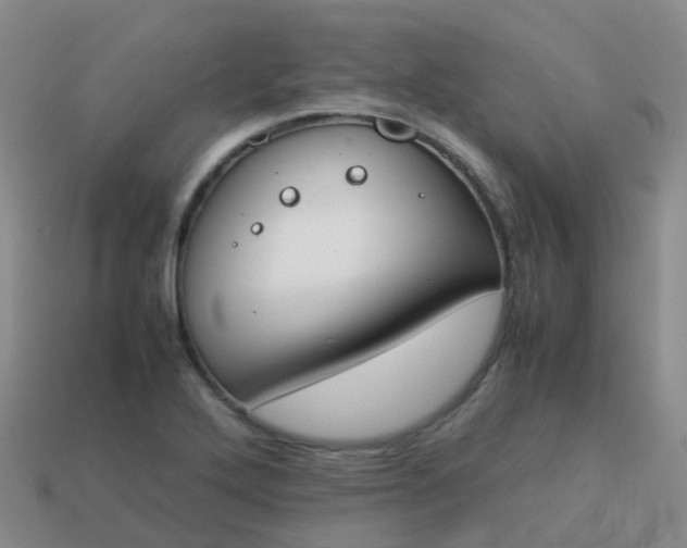 X0000113871272200910081719