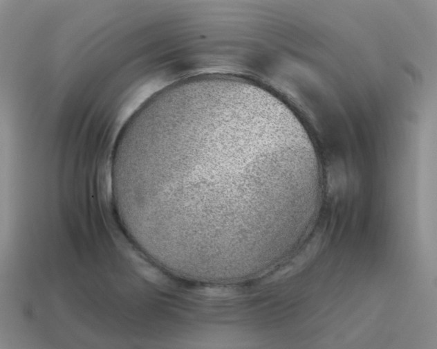 X0000113871274200910081719