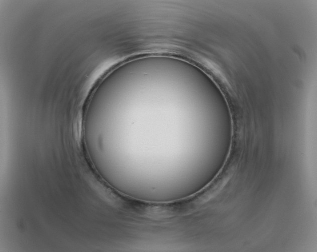 X0000113871275200910081719