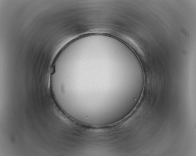 X0000113871276200910081719