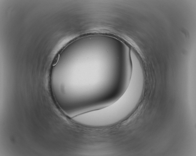 X0000113871277200910081719