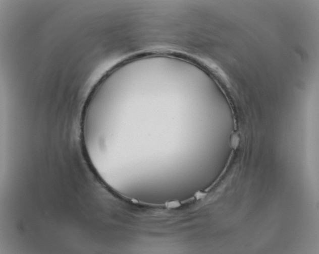 X0000113871279200910081719