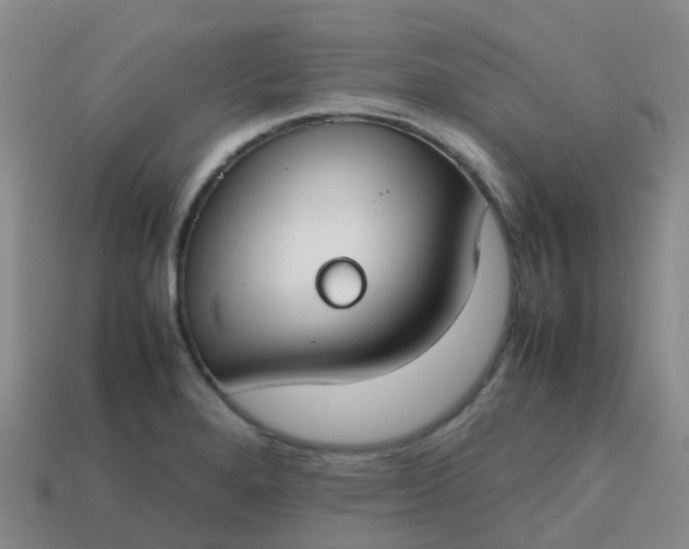 X0000113871280200910081719