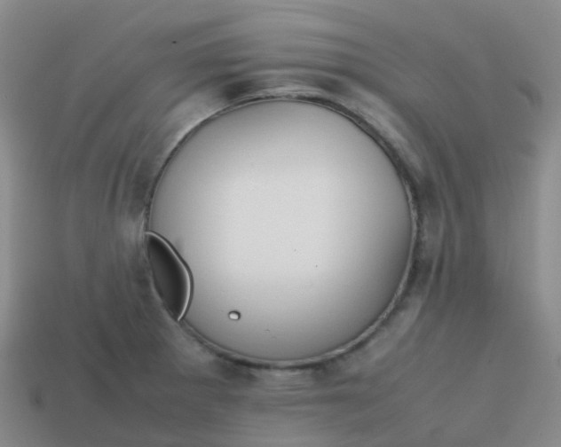 X0000113871281200910081719