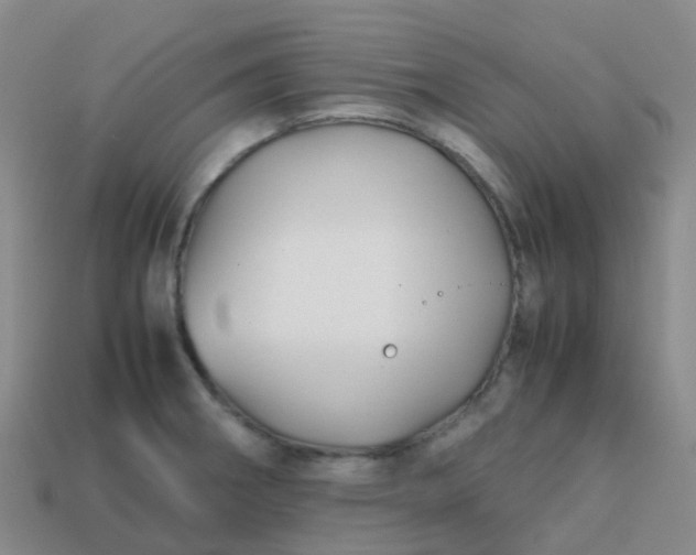 X0000113871282200910081719