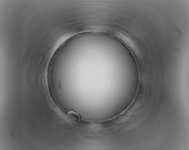 X0000113871283200910081719