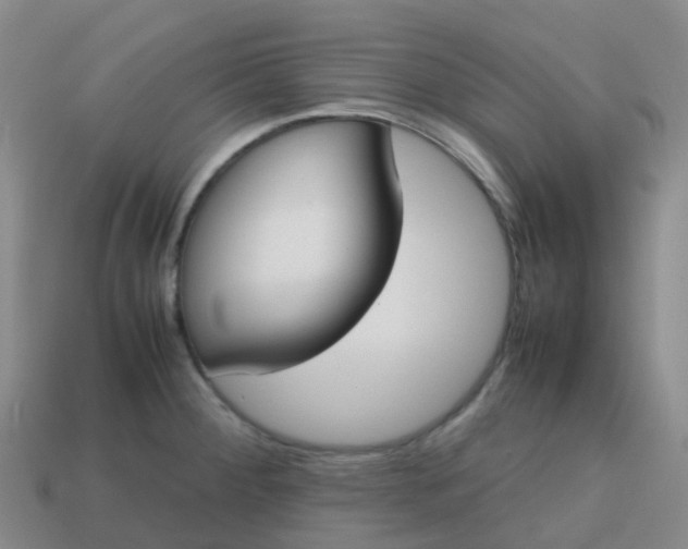 X0000113871284200910081719