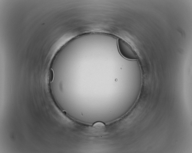 X0000113871285200910081719