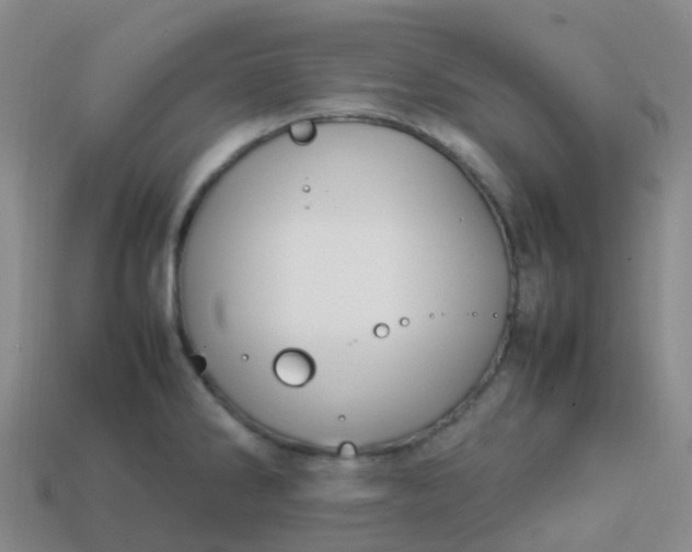 X0000113871286200910081719