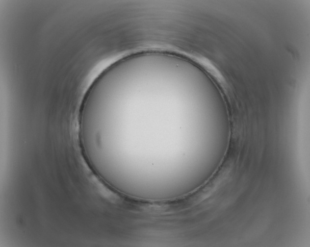 X0000113871287200910081719