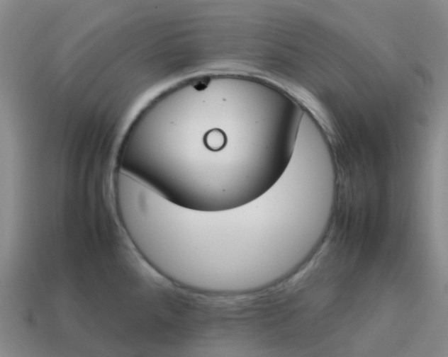 X0000113871288200910081719