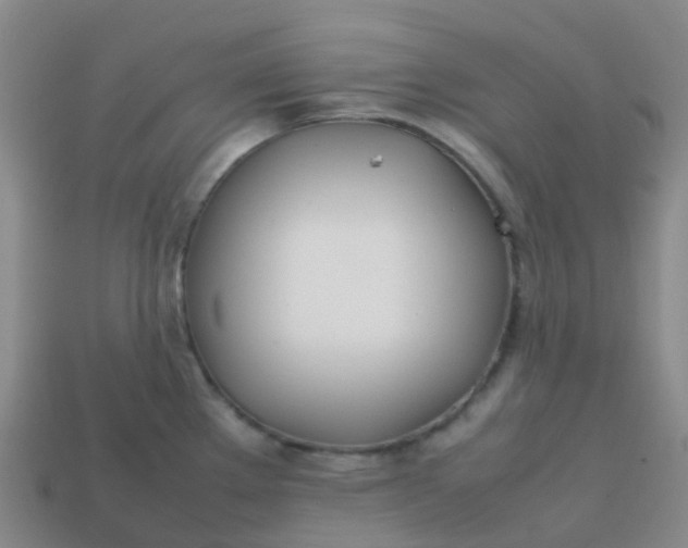 X0000113871289200910081719