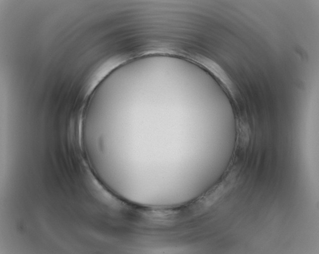 X0000113871290200910081719