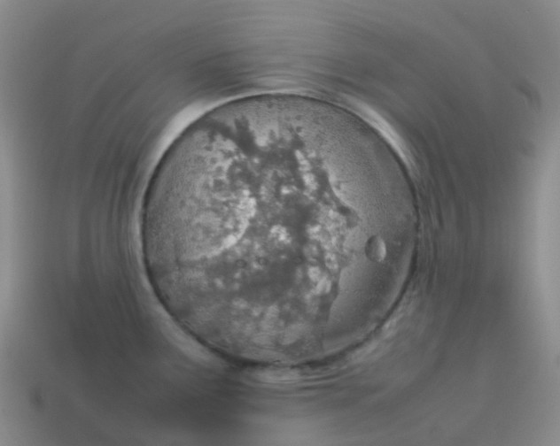 X0000113871291200910081719