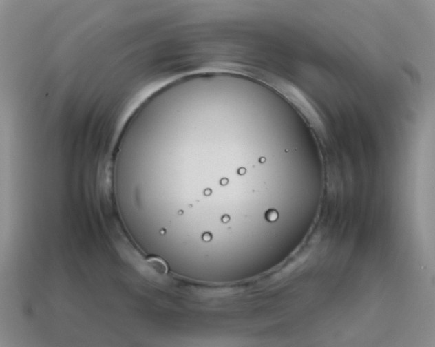 X0000113871292200910081719