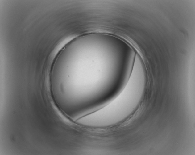 X0000113871293200910081719