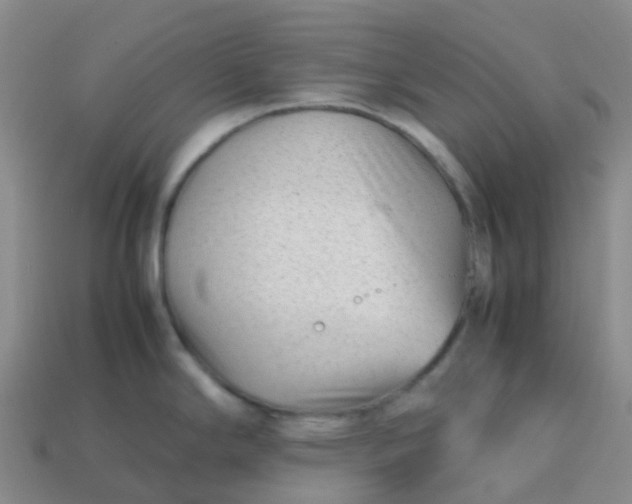 X0000113871294200910081719