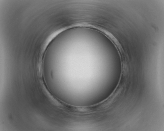 X0000113871295200910081719