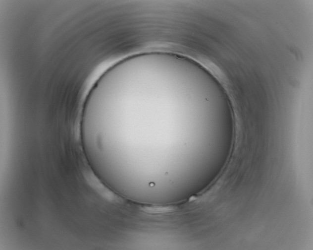 X0000113871296200910081719