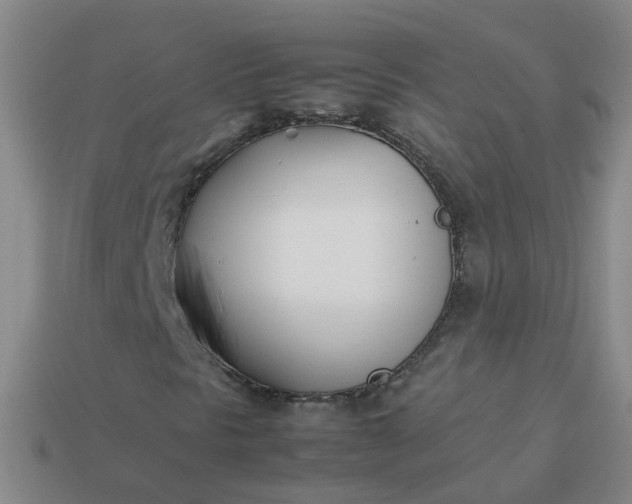 X0000113871297200910081718